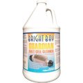 Bright Bay Products, Llc Guardian Salt Cell Cleaner, Gallon Bottle 1/Case - P3128 P3128
